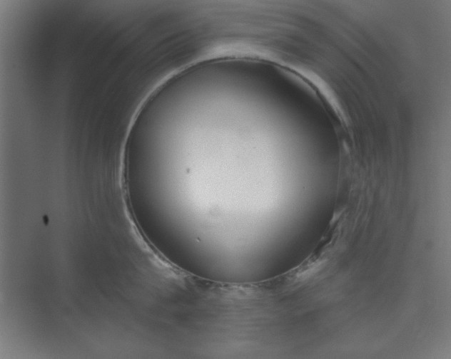 X0000073970815200609051843