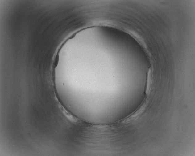 X0000073970816200609051843