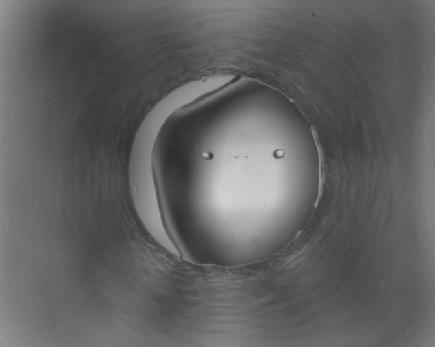 X0000073970818200609051843