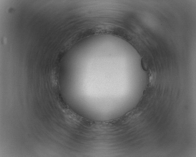 X0000073970819200609051843