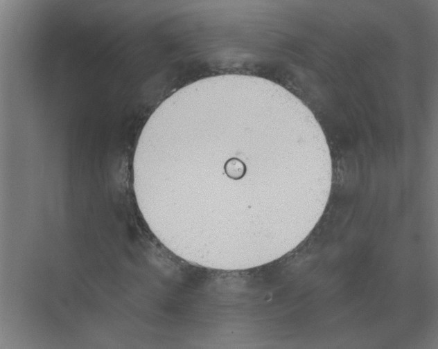 X0000073970820200609051843