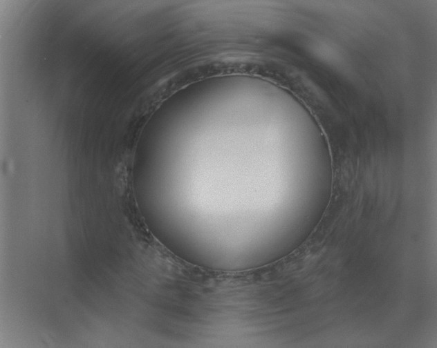 X0000073970821200609051843