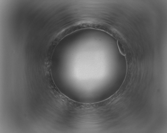 X0000073970822200609051843