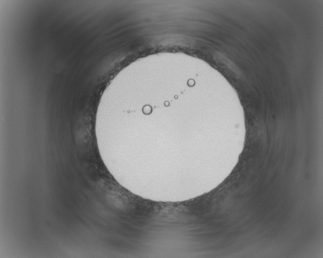 X0000073970824200609051843