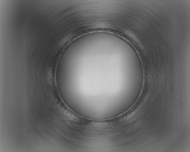 X0000073970825200609051843