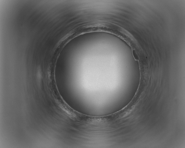 X0000073970826200609051843