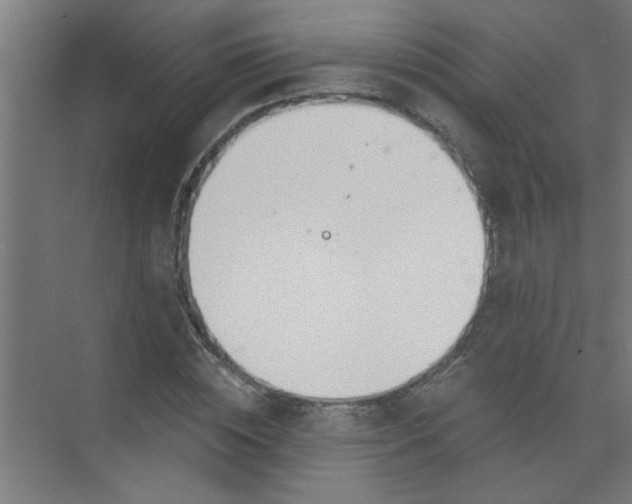 X0000073970828200609051843