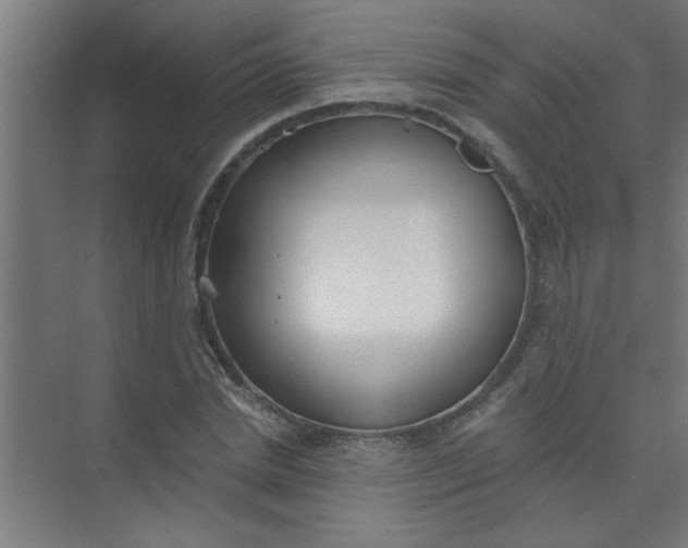 X0000073970830200609051843