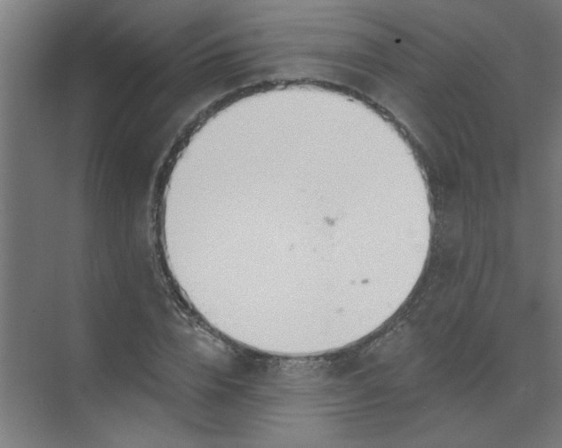 X0000073970832200609051843