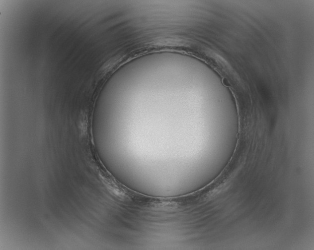 X0000073970833200609051843