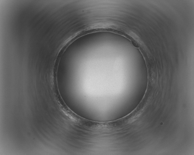 X0000073970834200609051843