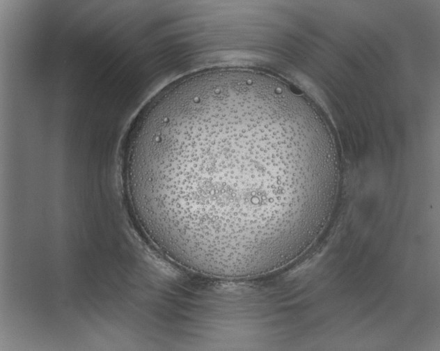 X0000073970835200609051843