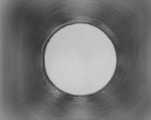 X0000073970836200609051843