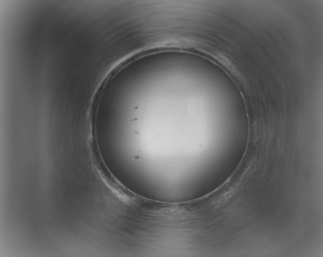 X0000073970838200609051843