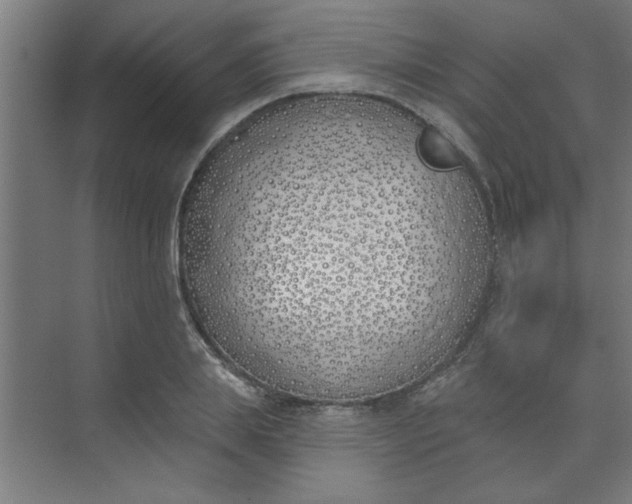 X0000073970839200609051843