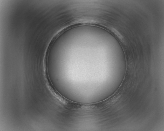 X0000073970840200609051843