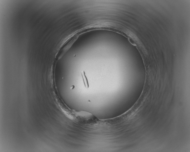 X0000073970842200609051843