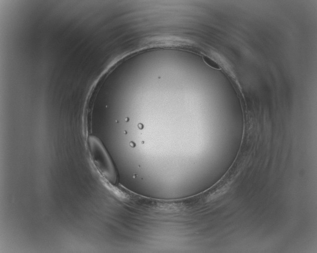 X0000073970843200609051843