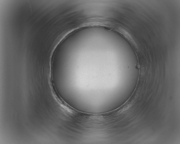 X0000073970844200609051843