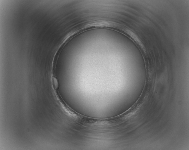 X0000073970845200609051843