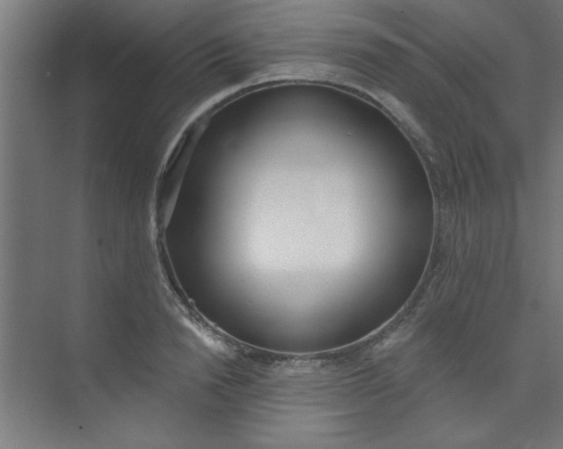 X0000073970846200609051843