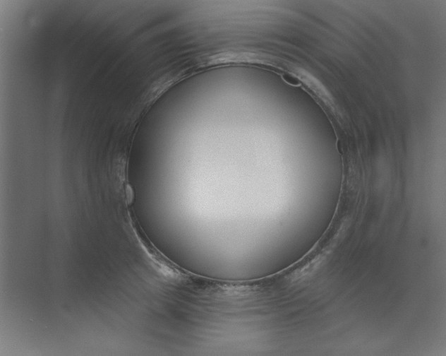 X0000073970849200609051843