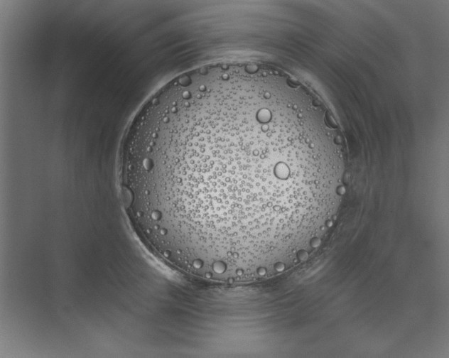 X0000073970851200609051843