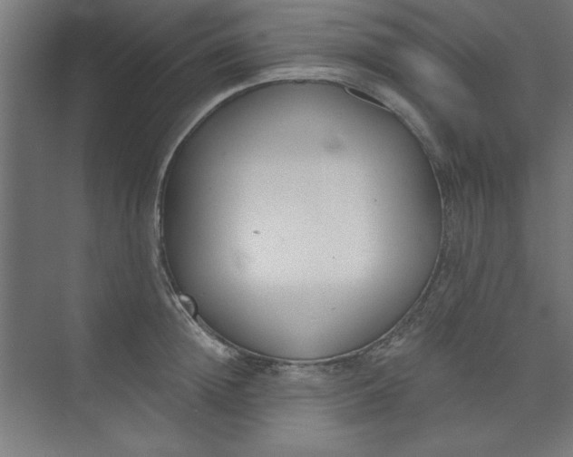 X0000073970852200609051843