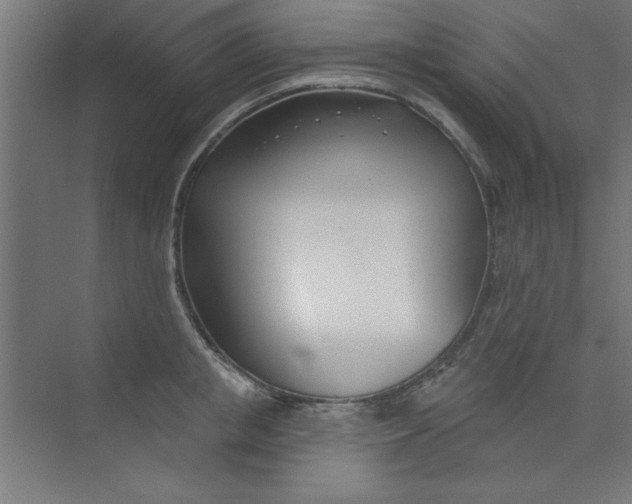 X0000073970853200609051843