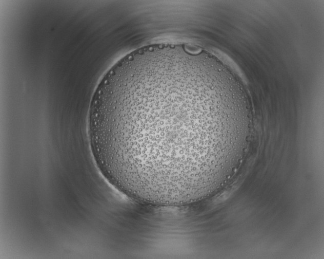 X0000073970855200609051843