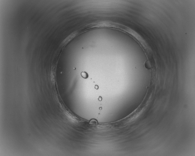 X0000073970857200609051843