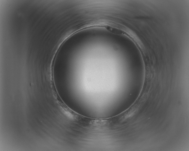 X0000073970858200609051843