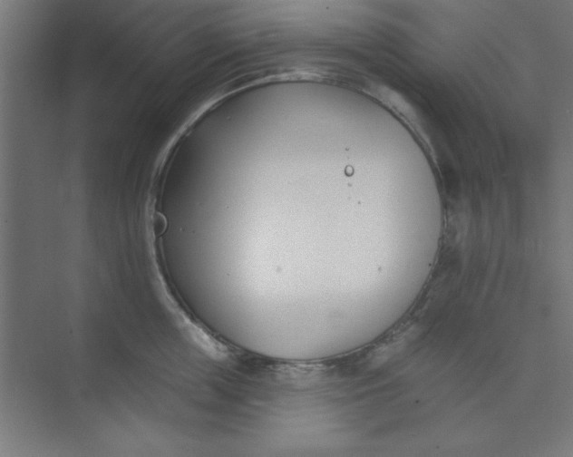 X0000073970859200609051843