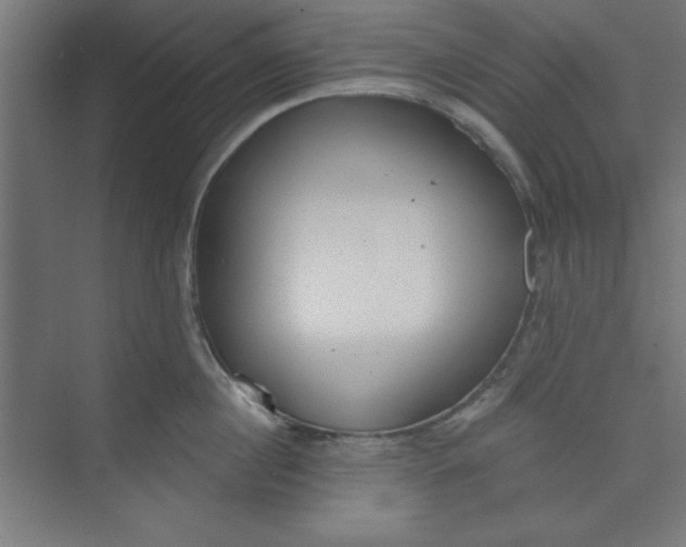 X0000073970860200609051843