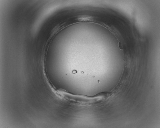 X0000073970861200609051843