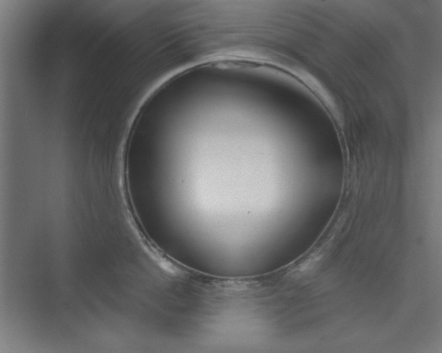 X0000073970862200609051843