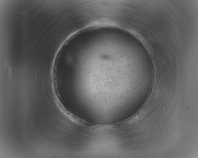 X0000073970864200609051843