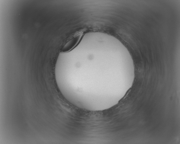 X0000073970865200609051843