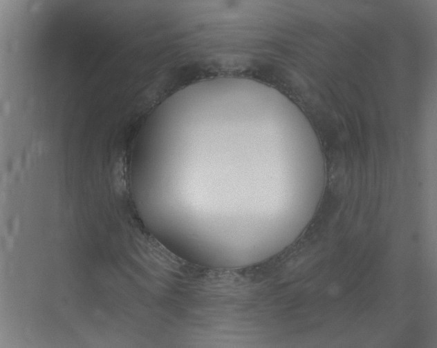 X0000073970866200609051843