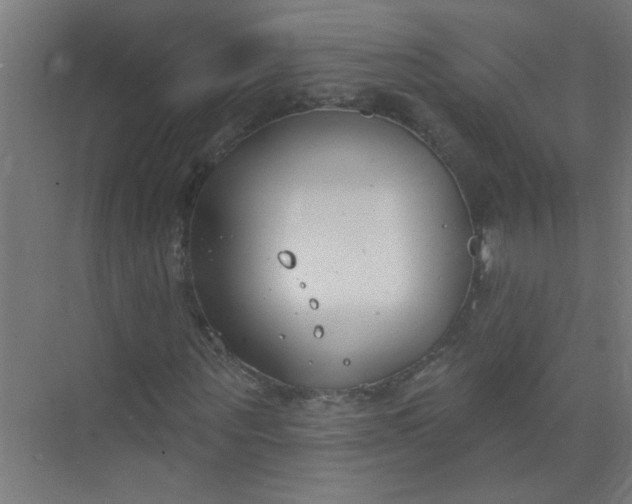 X0000073970867200609051843