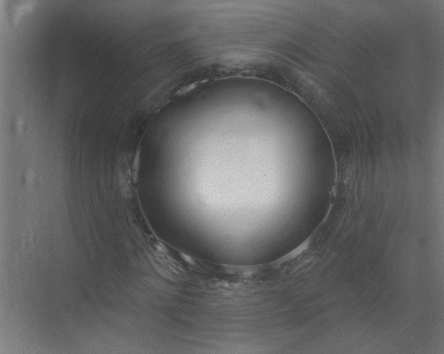 X0000073970868200609051843