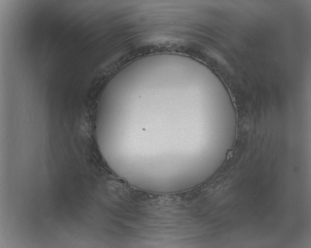 X0000073970869200609051842