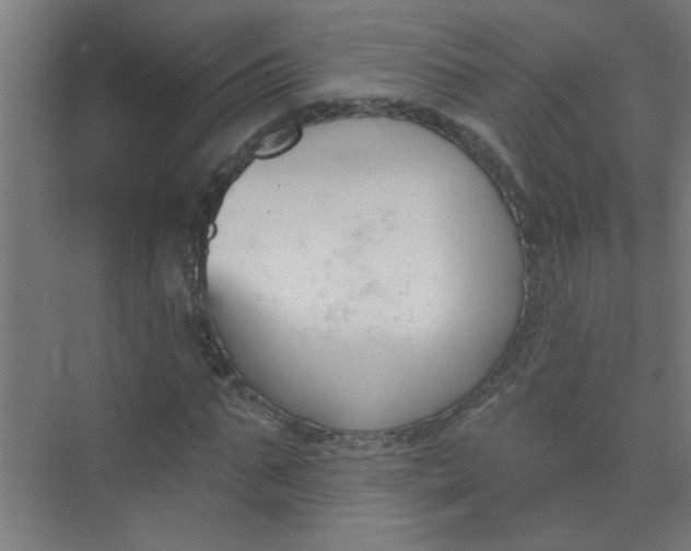 X0000073970871200609051842