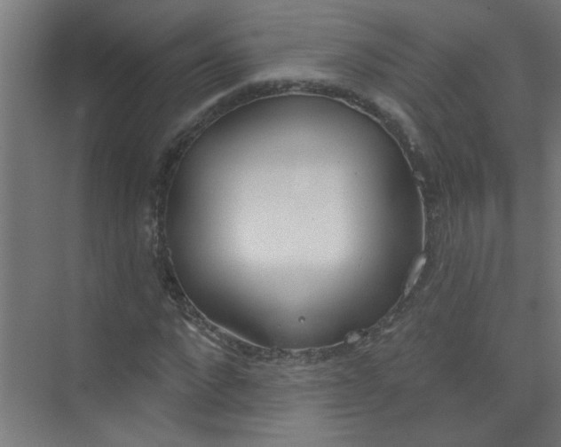 X0000073970872200609051842