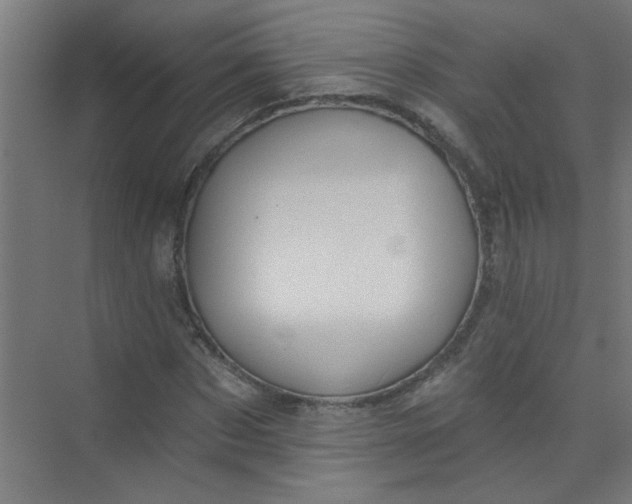 X0000073970873200609051842