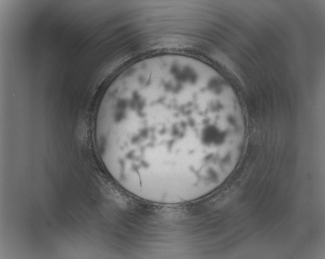 X0000073970874200609051842