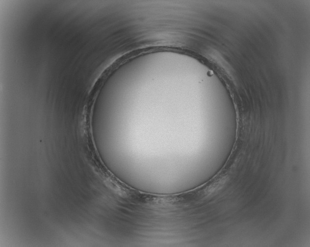 X0000073970875200609051842