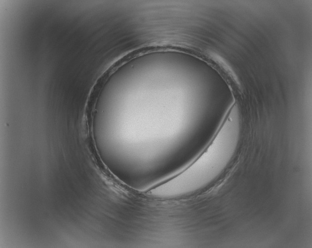 X0000073970876200609051842