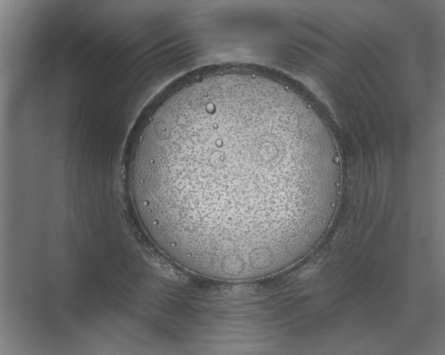 X0000073970879200609051842