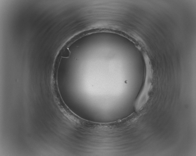 X0000073970880200609051842